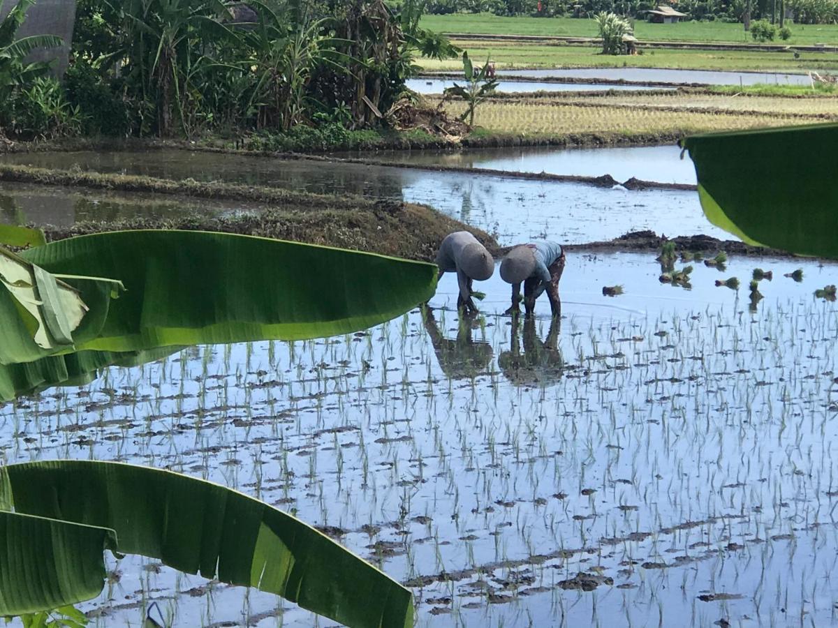 Bali Eco Living Yoga Healing Meditation And Retreat Center Hostel Denpasa Buitenkant foto